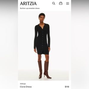 Aritzia Wilfred Cove dress